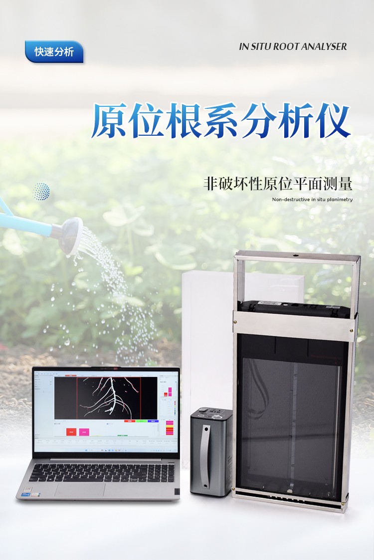 原位根系分析仪