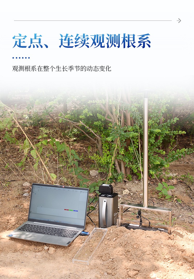 原位根系分析仪