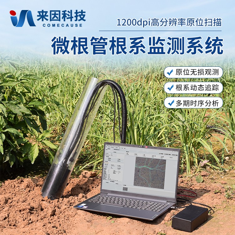 原位根系分析仪IN-RS600
