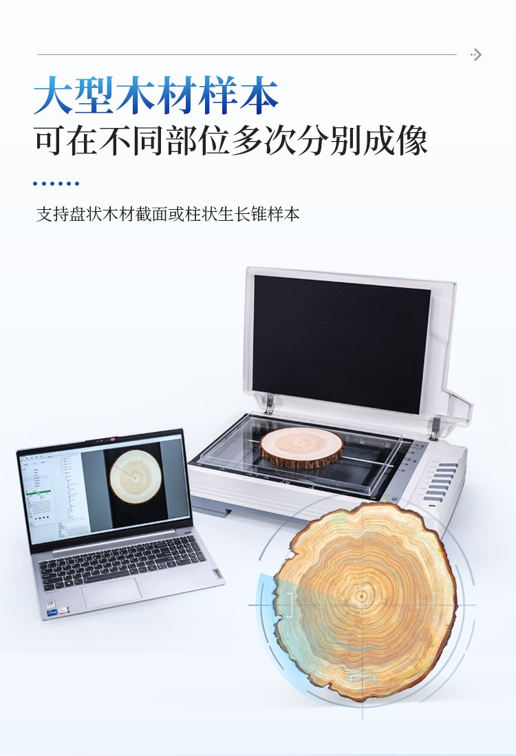 树木年轮分析仪 树木年轮分析仪