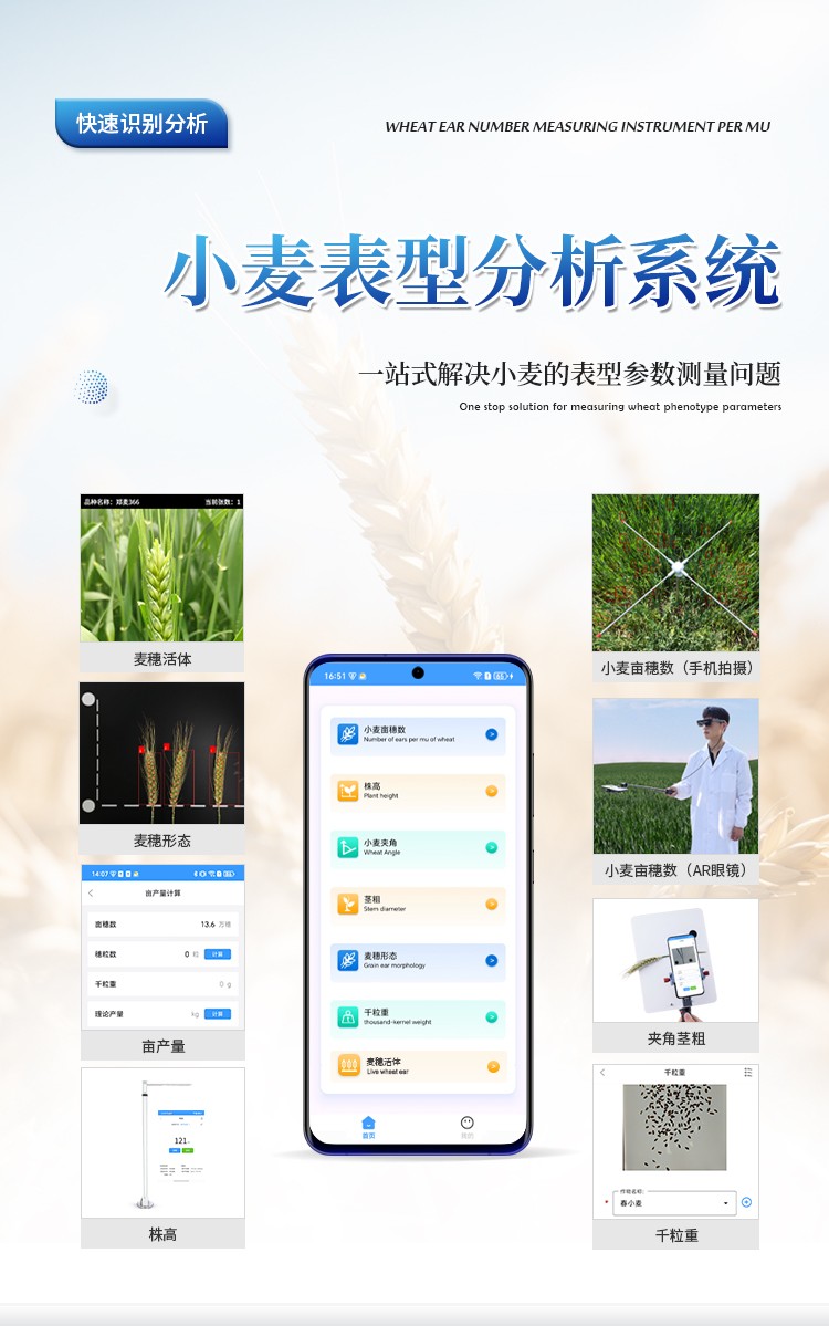 小麦亩穗数测量仪