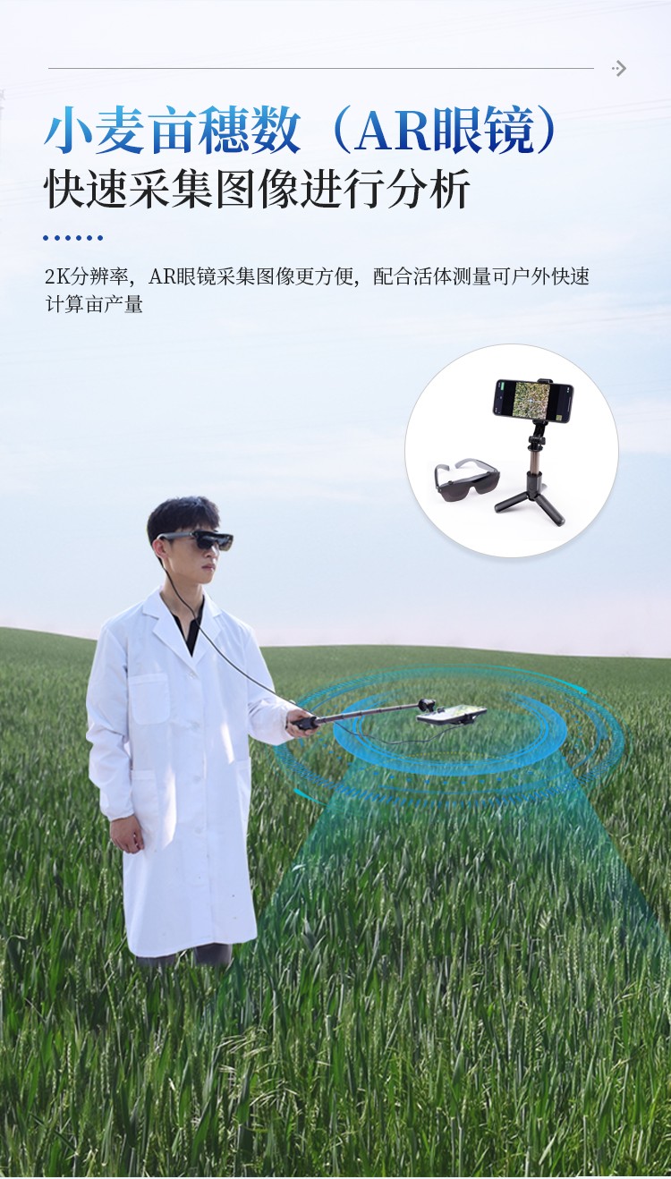 小麦亩穗数测量仪