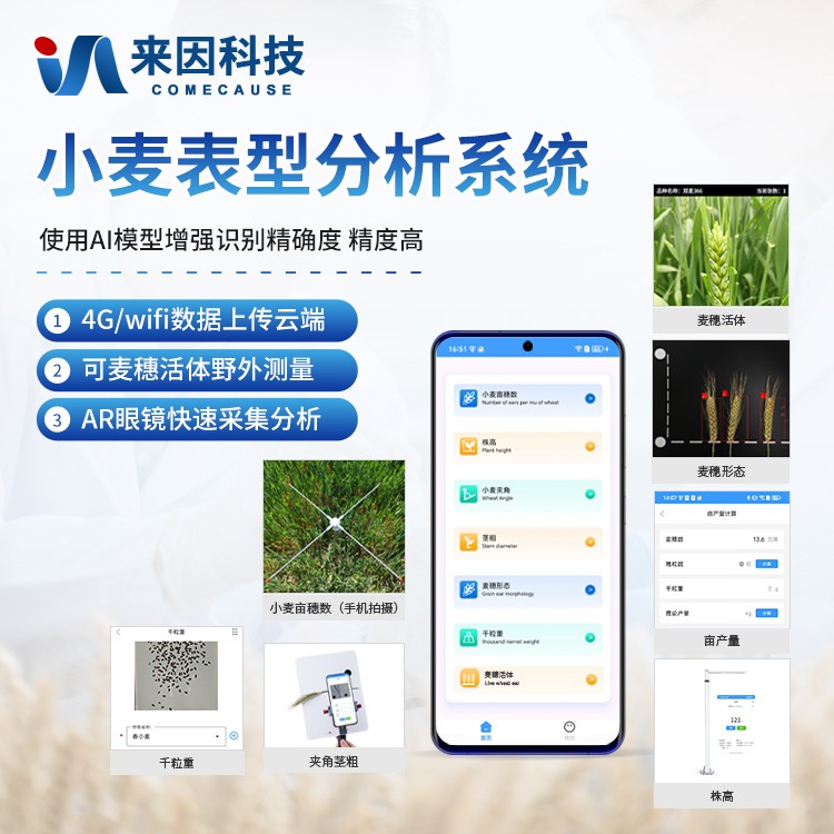 小麦表型检测仪IN-XM04