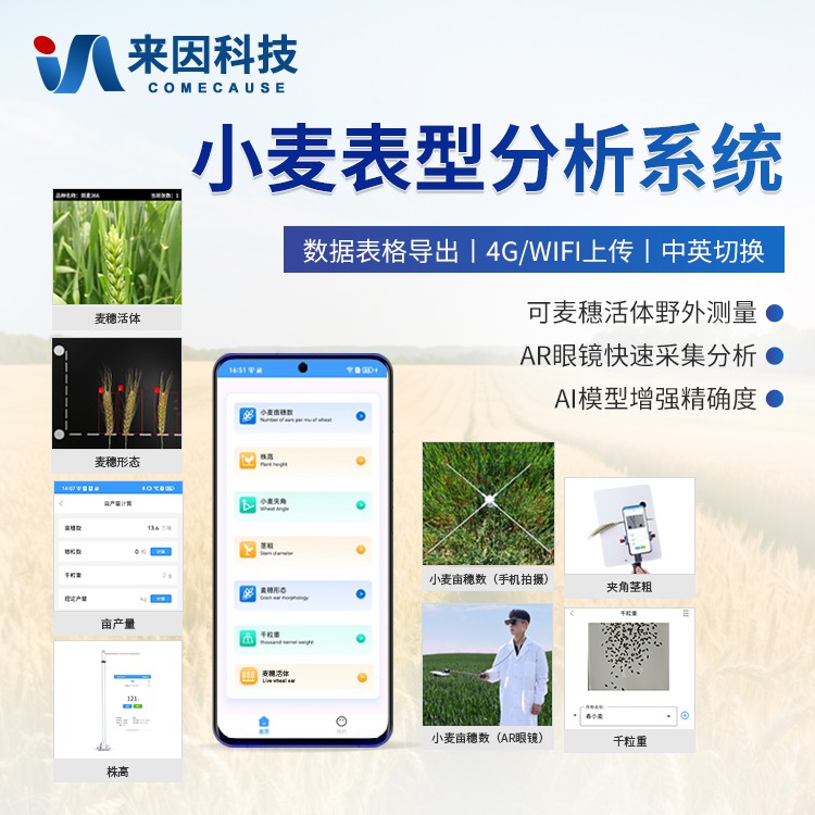 小麦表型测量仪IN-XM05