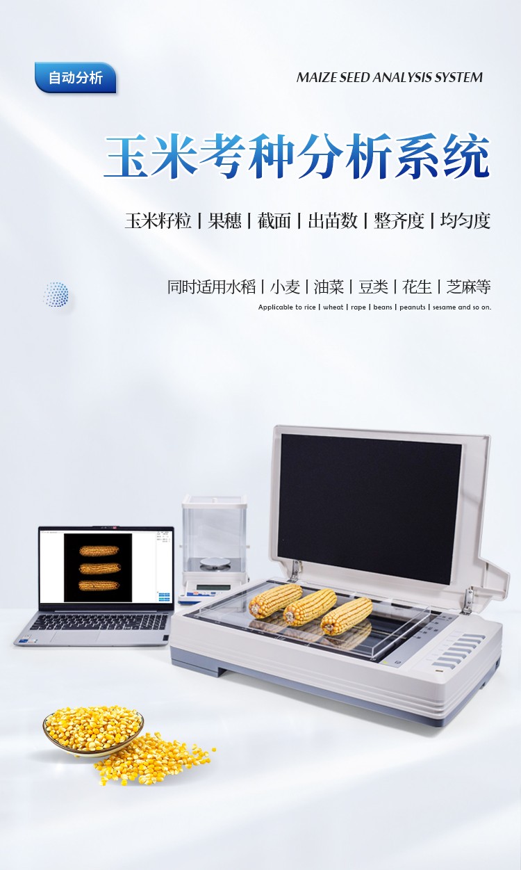 玉米考种分析系统 玉米考种分析系统