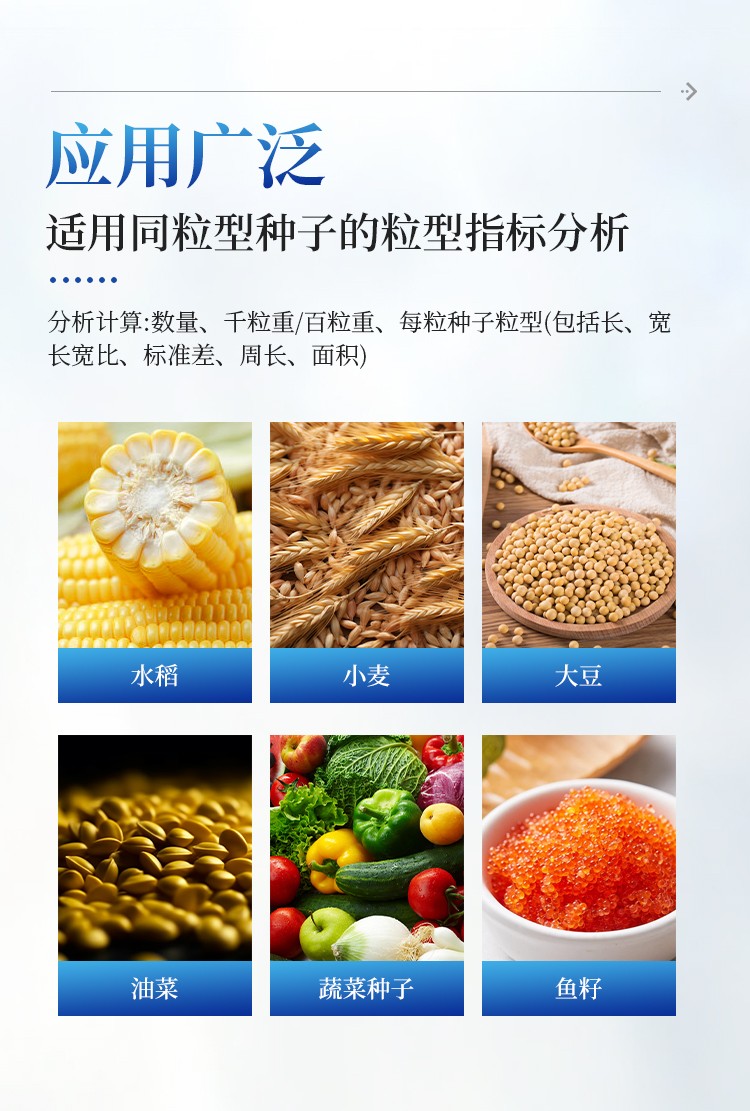 玉米考种分析系统 玉米考种分析系统