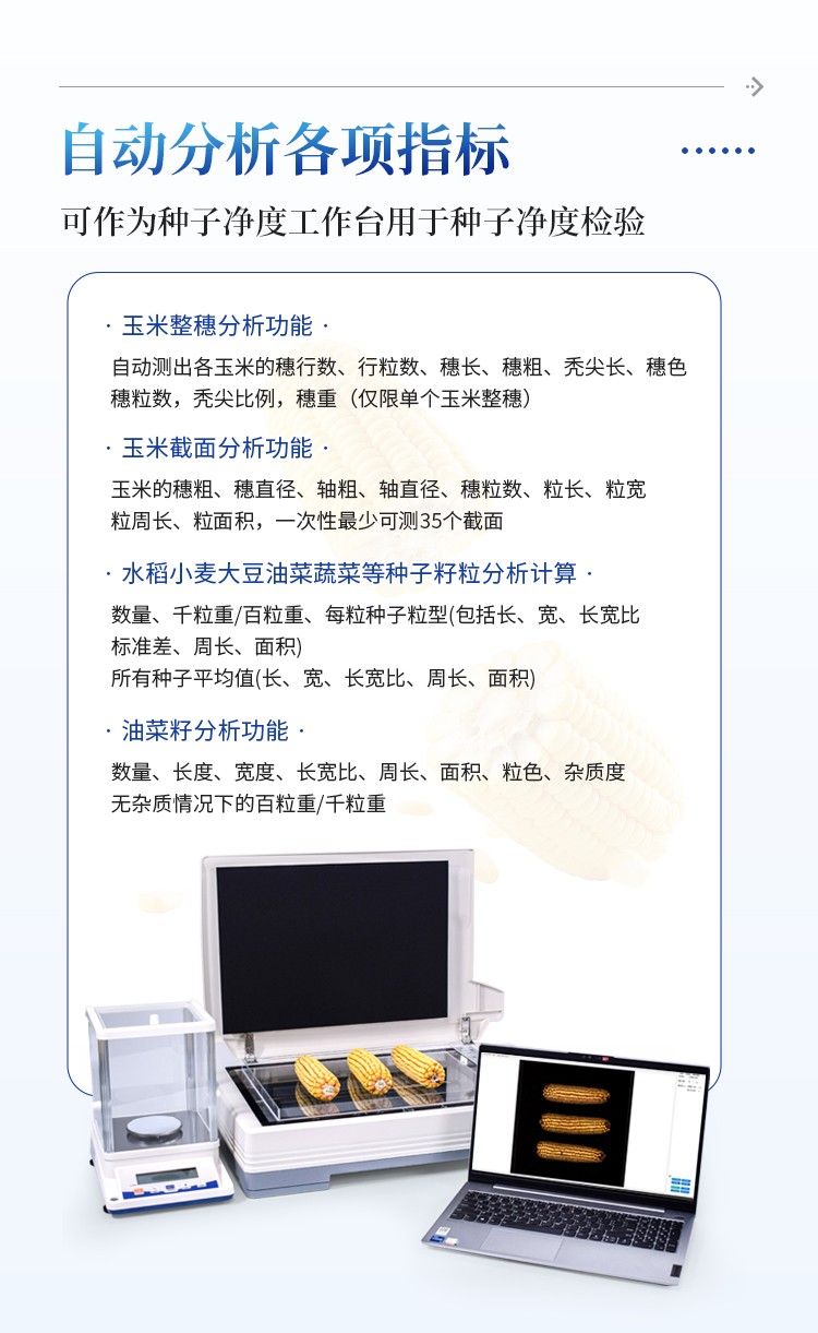 玉米考种分析系统 玉米考种分析系统