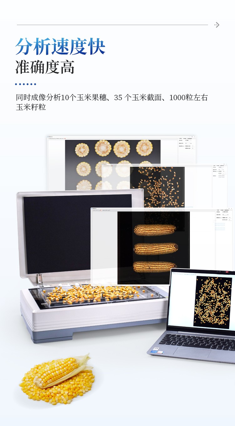 玉米考种分析系统 玉米考种分析系统
