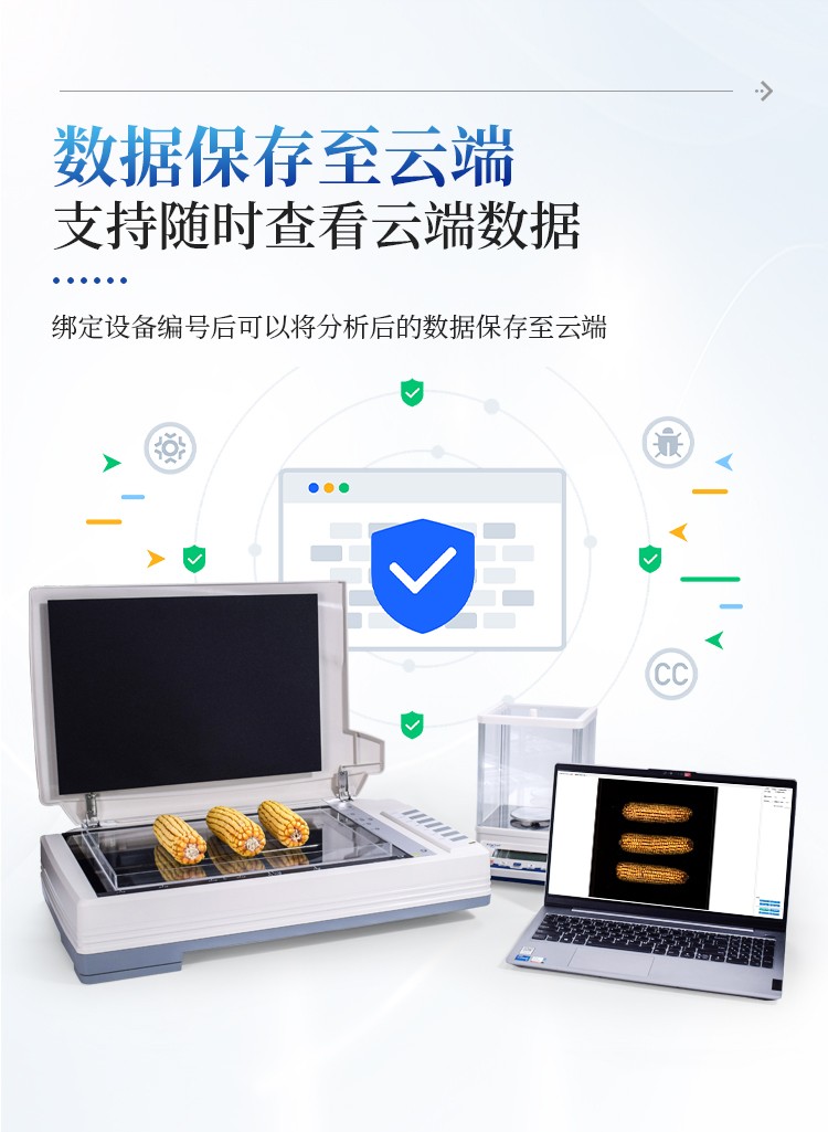 玉米考种分析系统 玉米考种分析系统