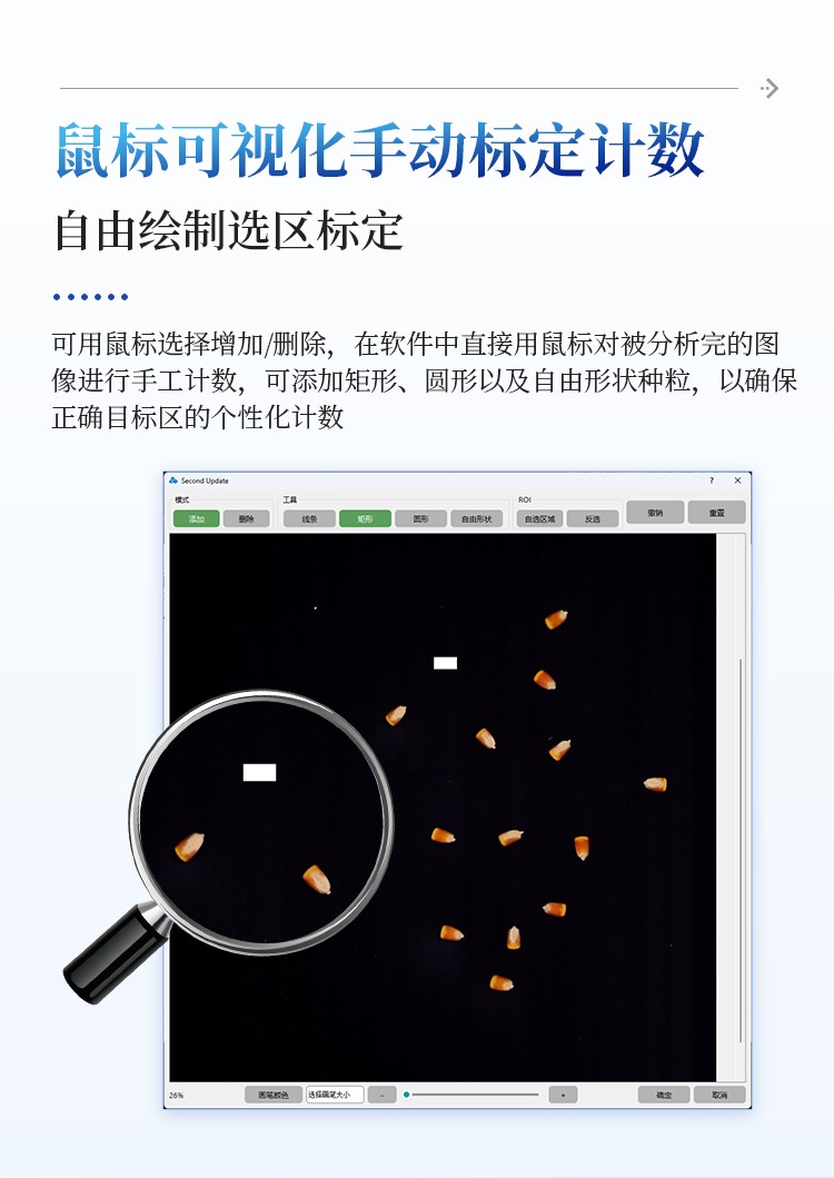玉米考种分析系统 玉米考种分析系统