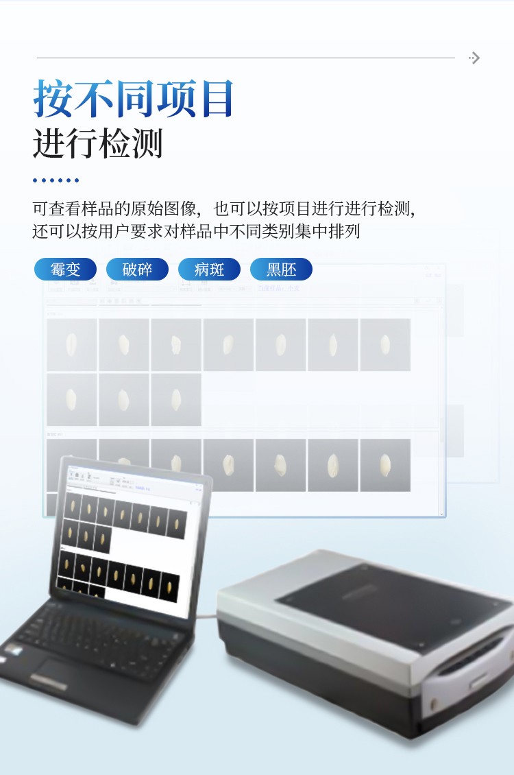 小麦不完善粒测定仪 小麦不完善粒测定仪