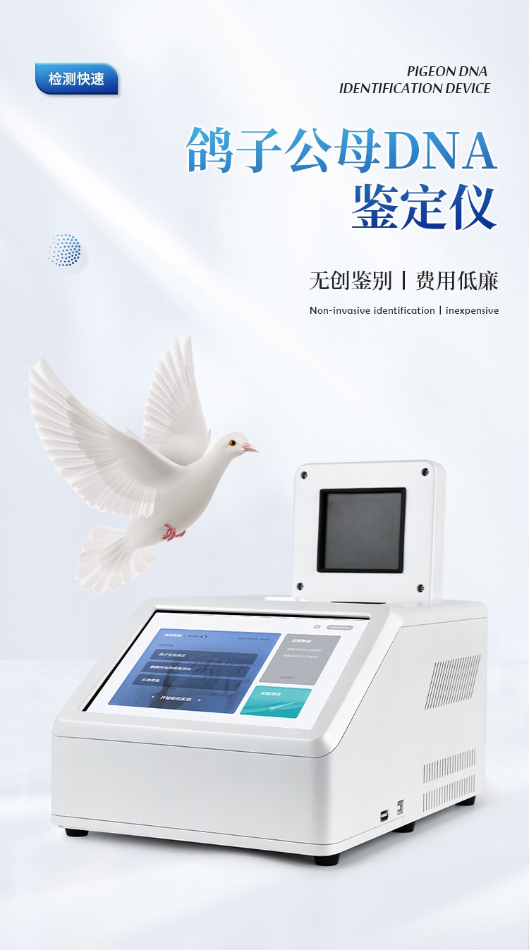 鸟类DNA鉴定仪 鸟类DNA鉴定仪