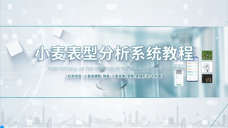 IN-XM04小麦表型分析系统操作教程
