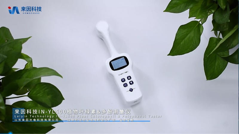 IN-YL500植物叶绿素&多酚测量仪展示视频