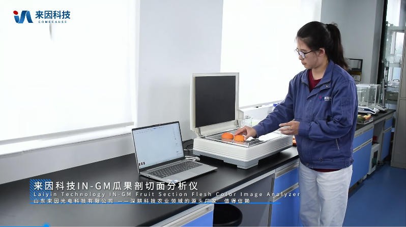 IN-GM瓜果剖切面瓤色图像分析仪展示视频