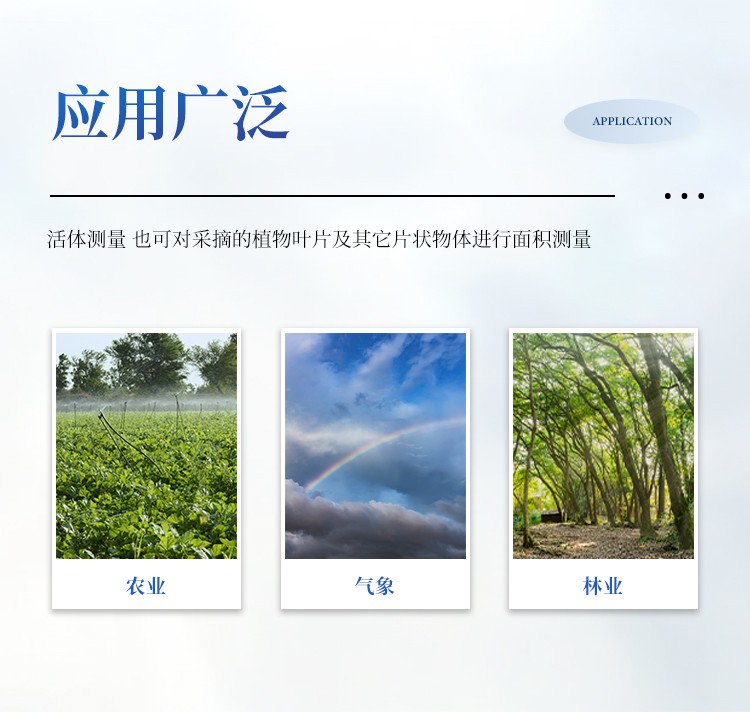 叶面积测定仪 叶面积测定仪
