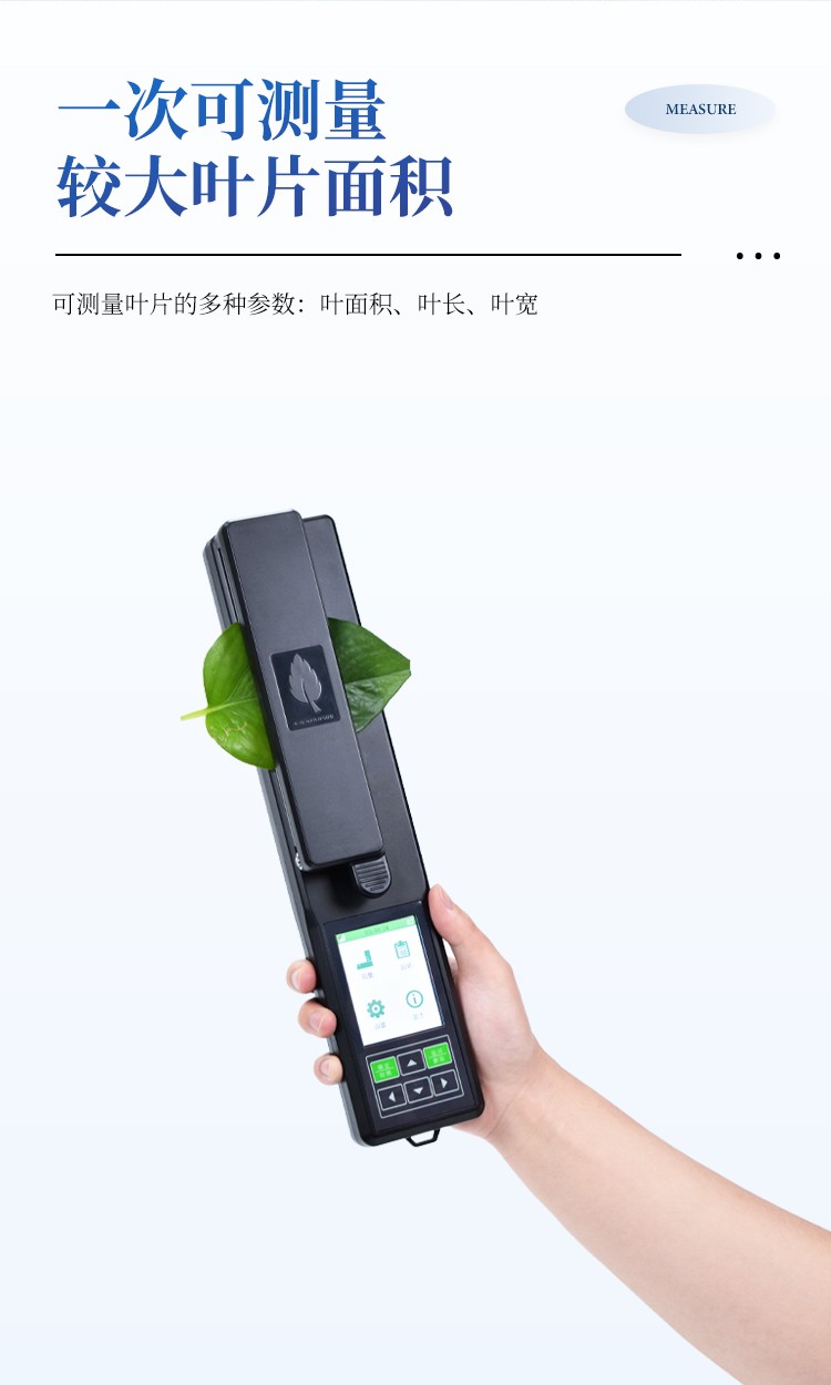 叶面积测定仪 叶面积测定仪