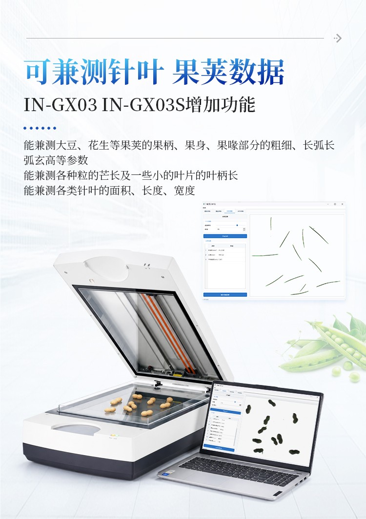 植物根系分析系统
