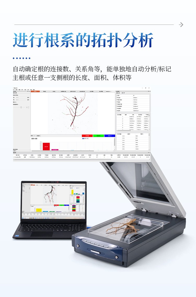 植物根系分析系统